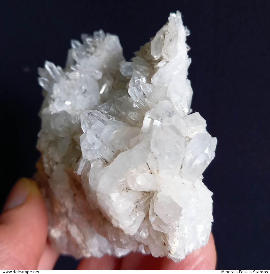 #O66 Schöne QUARZ XX (Castagnola, Val D'Aveto, Piacenza, Italien) - Minerales