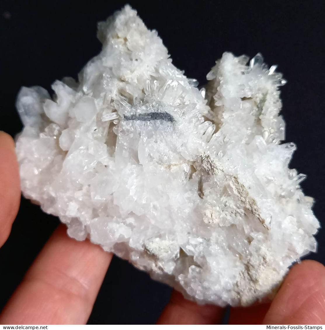 #O66 Schöne QUARZ XX (Castagnola, Val D'Aveto, Piacenza, Italien) - Mineralen