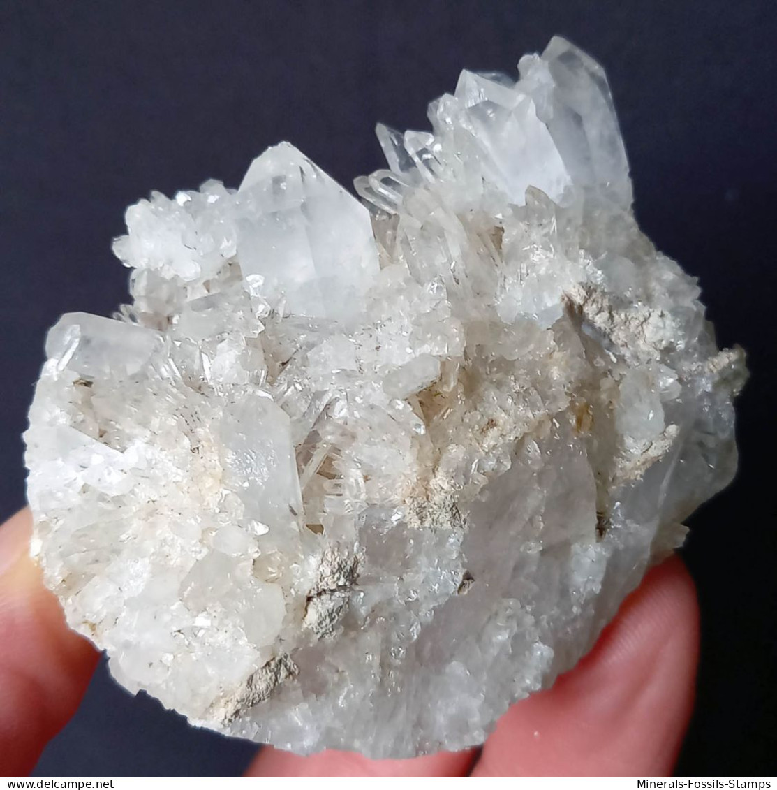 #O67 Schöne QUARZ XX (Castagnola, Val D'Aveto, Piacenza, Italien) - Mineralen