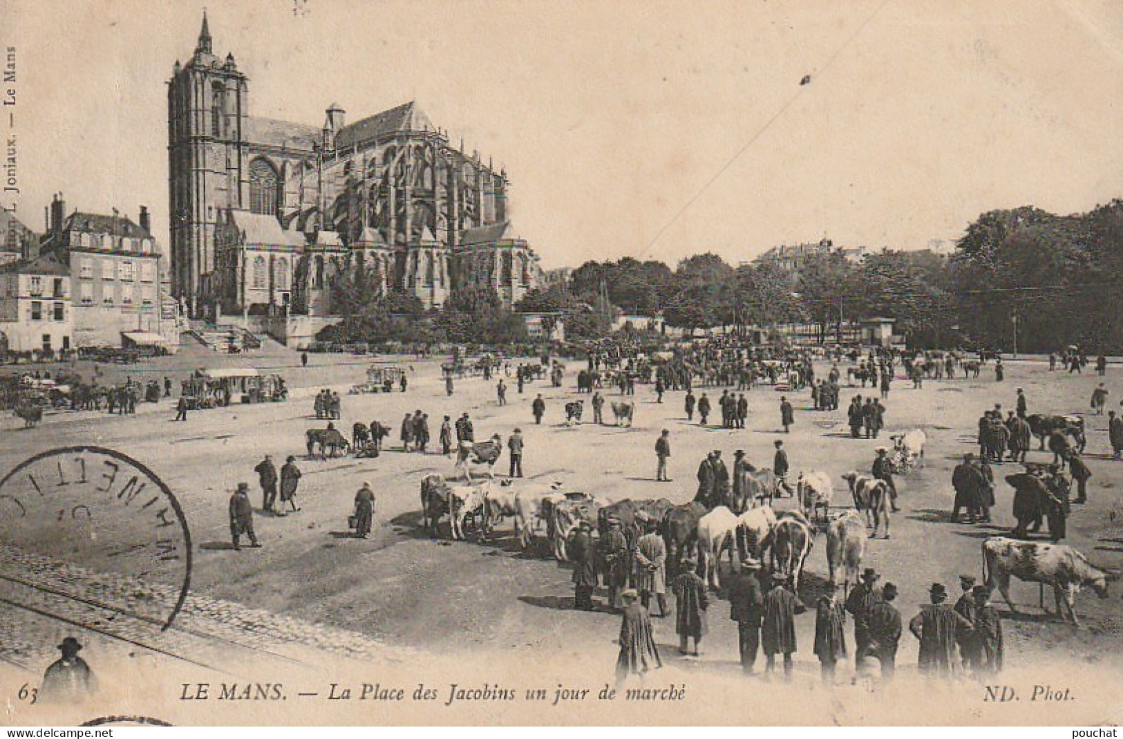 IN 16 - (72)  LE MANS  -  LA PLACE DES JACOBINS UN JOUR DE MARCHE - BETAIL : BOEUFS , VACHES - 2 SCANS - Le Mans