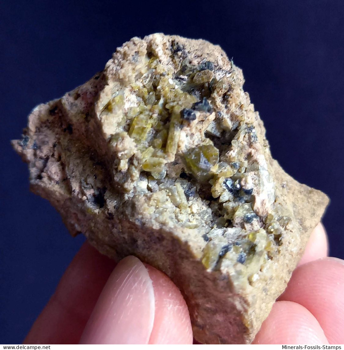 #O68 FASSAIT Kristalle (Lago Della Vacca, Breno, Brescia, Lombardei, Italien) - Minerales