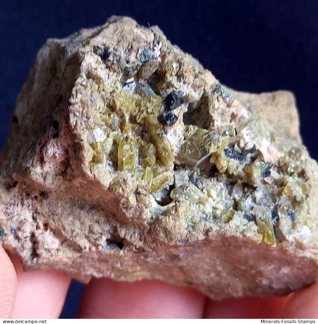 #O68 FASSAIT Kristalle (Lago Della Vacca, Breno, Brescia, Lombardei, Italien) - Minerales