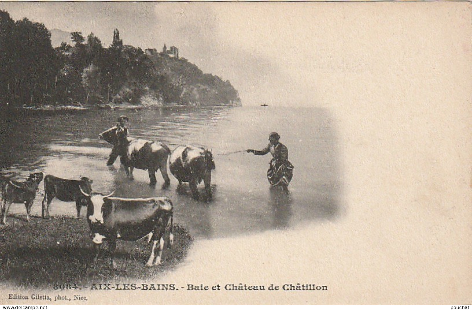 IN 19 - (73)  AIX LES BAINS - BAIE ET CHATEAU DE CHATILLON - PAYSANS AVEC  VACHES ET VEAUX- 2 SCANS  - Aix Les Bains