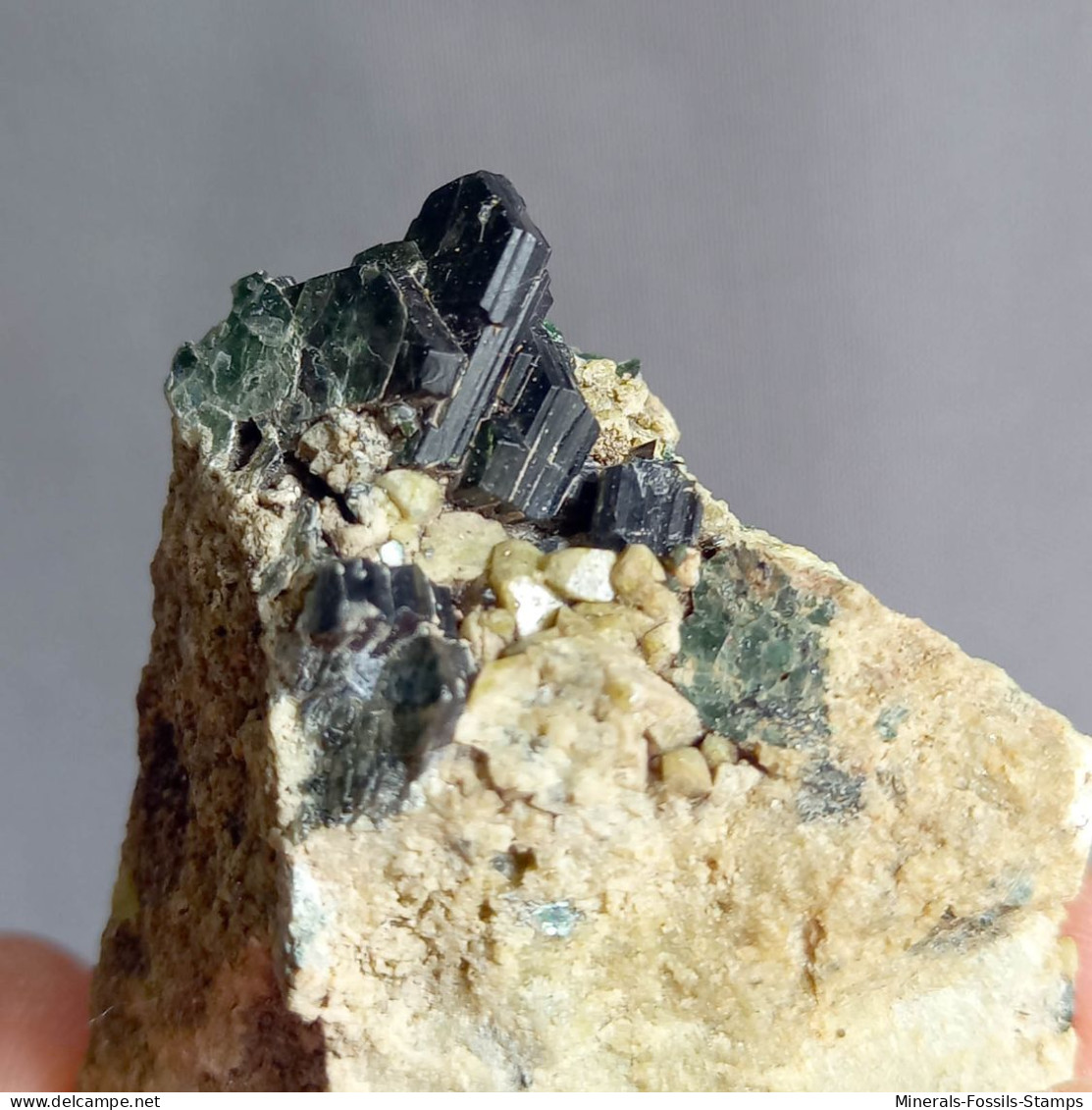 #O69 Seltene XANTHOPHYLLIT Clintonit Kristalle (Lago Della Vacca, Breno, Brescia, Lombardei, Italien) - Mineralien