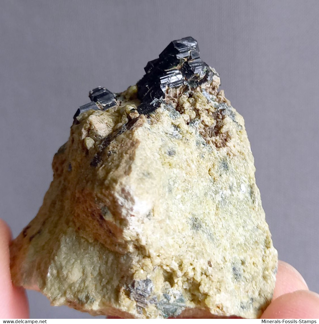 #O69 Seltene XANTHOPHYLLIT Clintonit Kristalle (Lago Della Vacca, Breno, Brescia, Lombardei, Italien) - Minerales