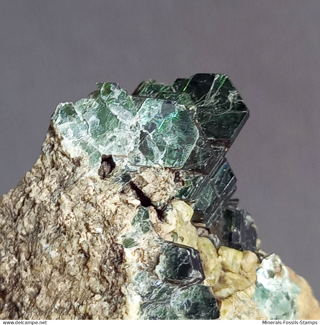 #O69 Seltene XANTHOPHYLLIT Clintonit Kristalle (Lago Della Vacca, Breno, Brescia, Lombardei, Italien) - Minerales