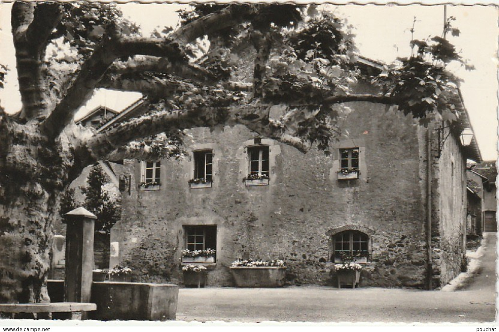 IN 22 - (74) YVOIRE  - VILLAGE MEDIEVAL  -  LE MUSEE -  2 SCANS  - Yvoire