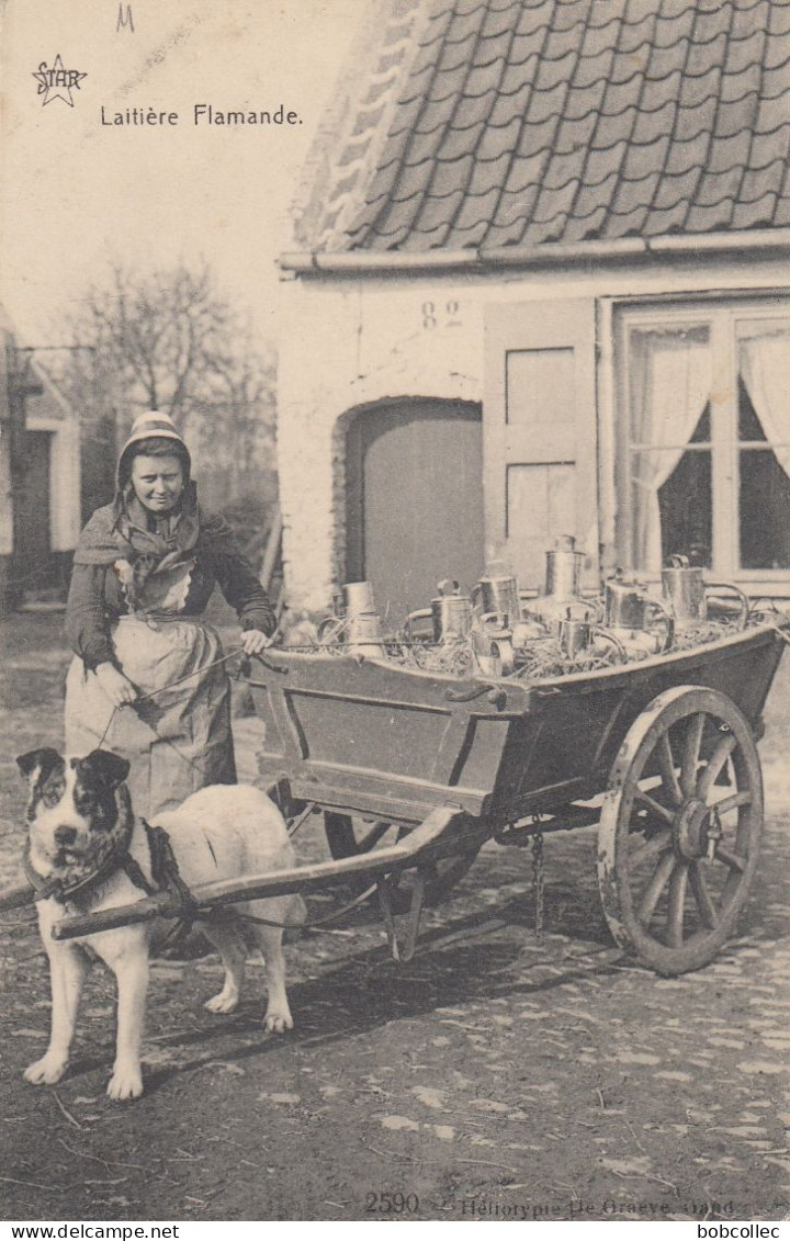 GAND - GENT: Laitière Flamande - Attelage De Chien - Gent