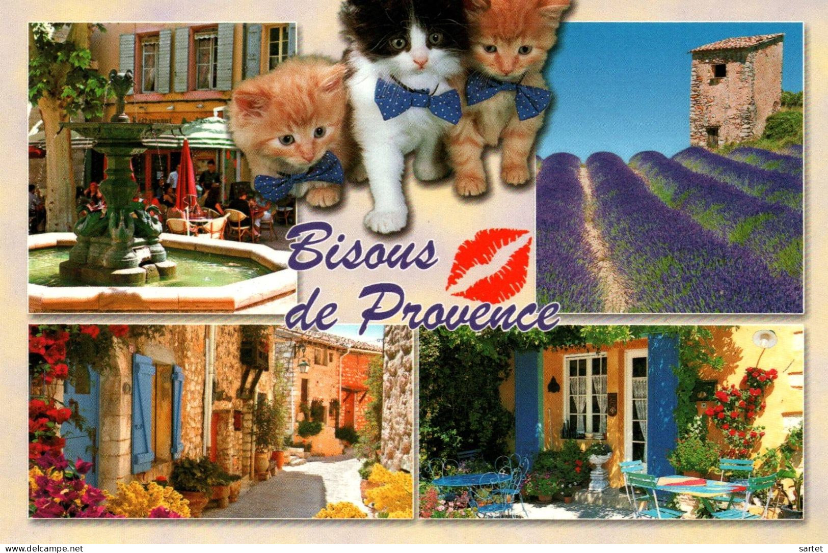 Bisous De Provence Avec Chat - Chats