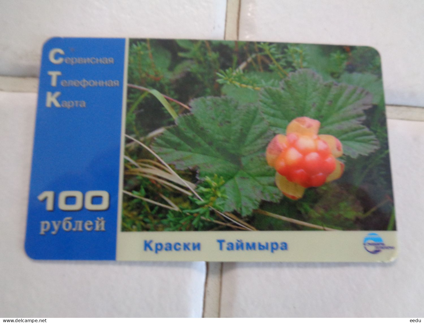 Russia Phonecard - Russie