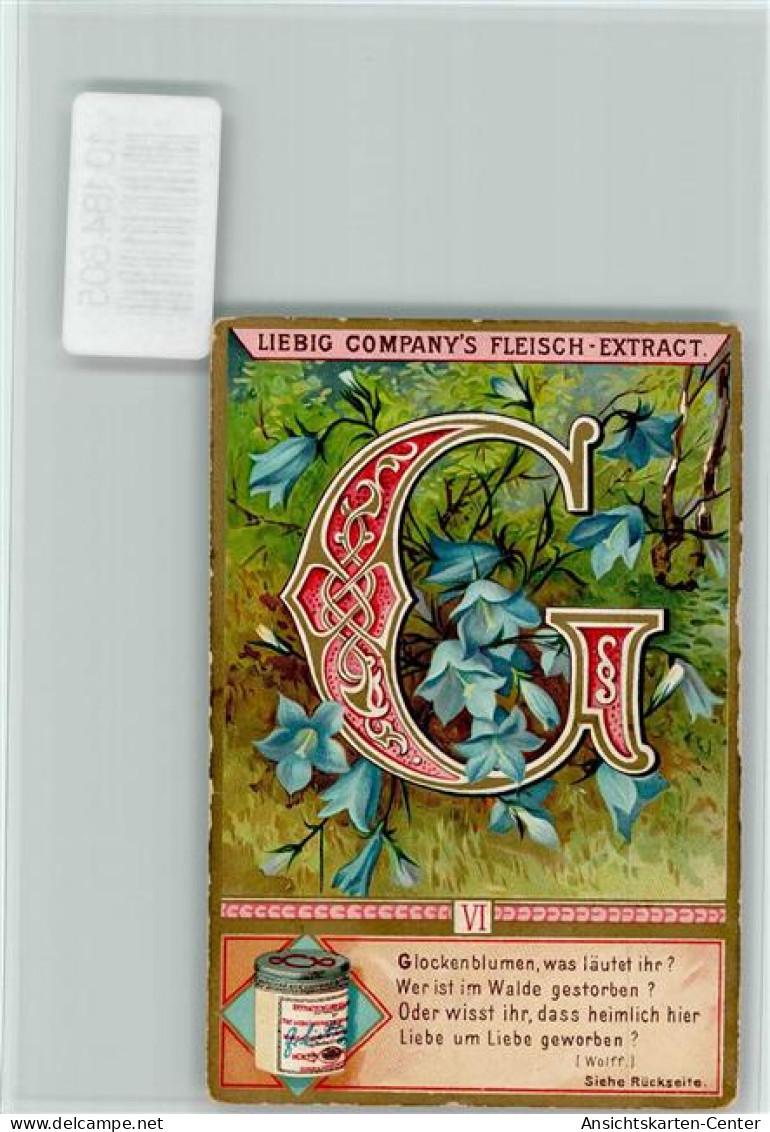 10184605 - Buchstabenkarten Glockenblume, Sammelbild - Autres & Non Classés