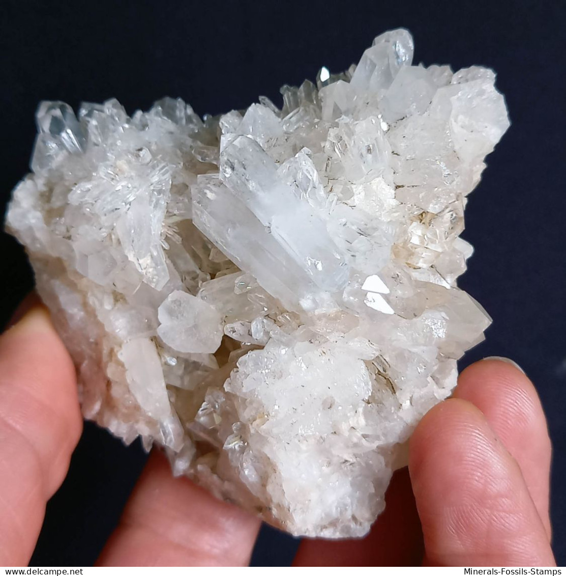 #U29 Schöne QUARZ XX (Castagnola, Val D'Aveto, Piacenza, Italien) - Minerals