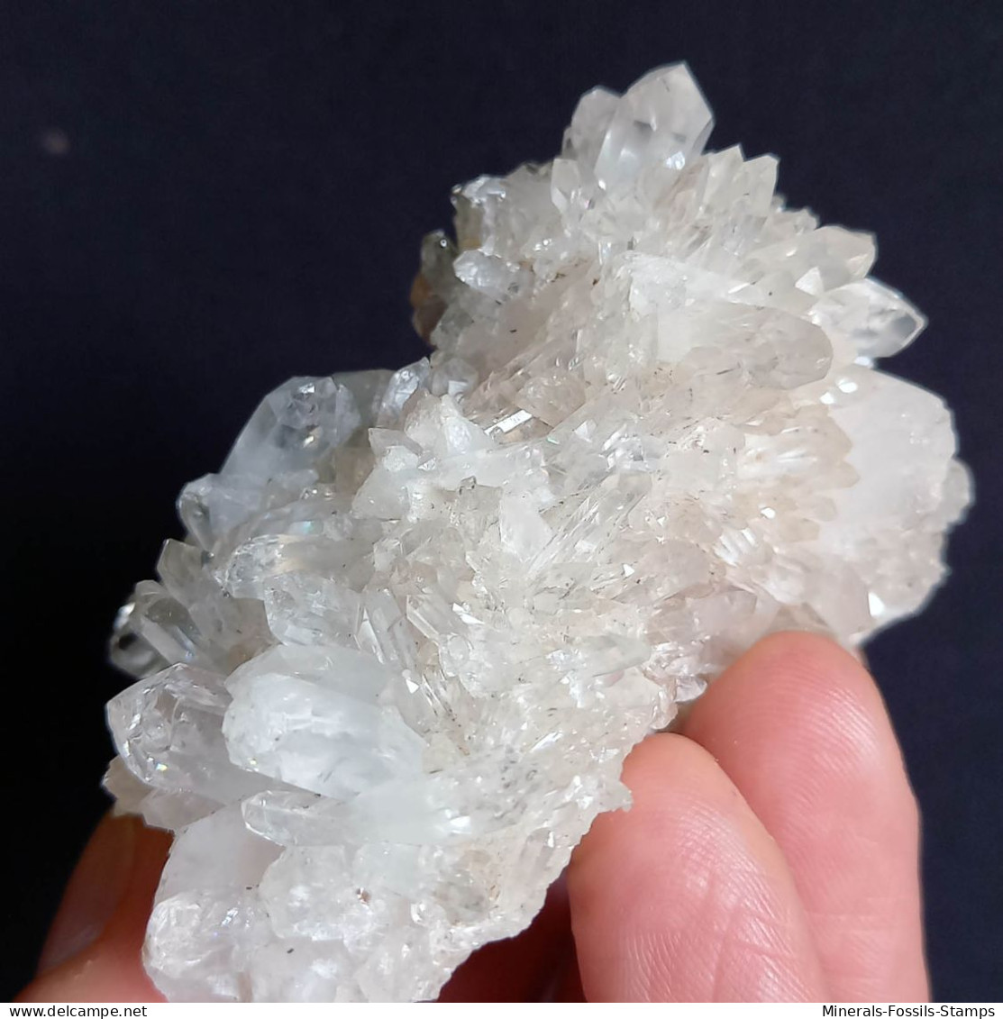 #U29 Schöne QUARZ XX (Castagnola, Val D'Aveto, Piacenza, Italien) - Mineralien