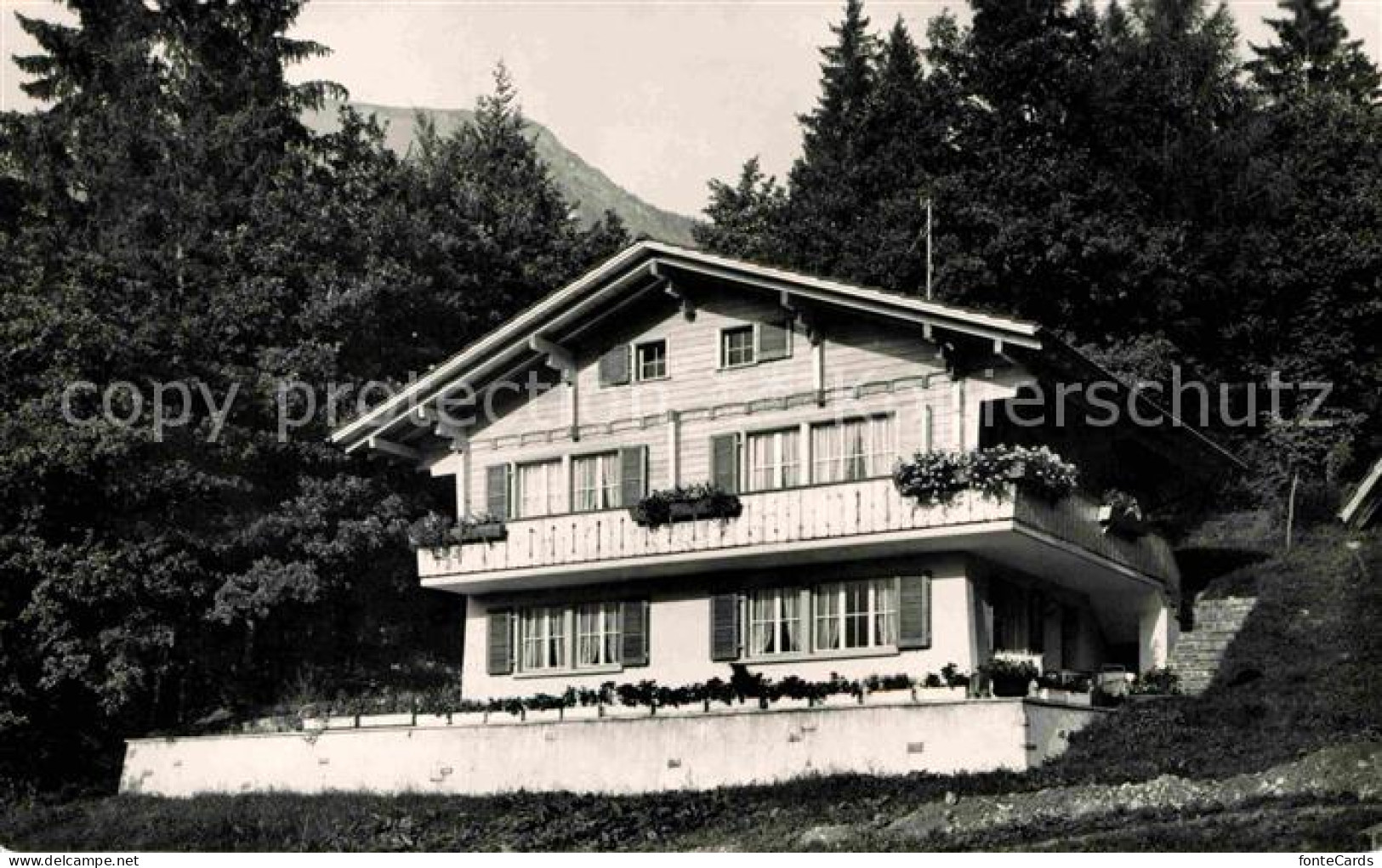 12638588 Hofstetten Brienz Chalet Am Hubel Hofstetten Brienz - Other & Unclassified