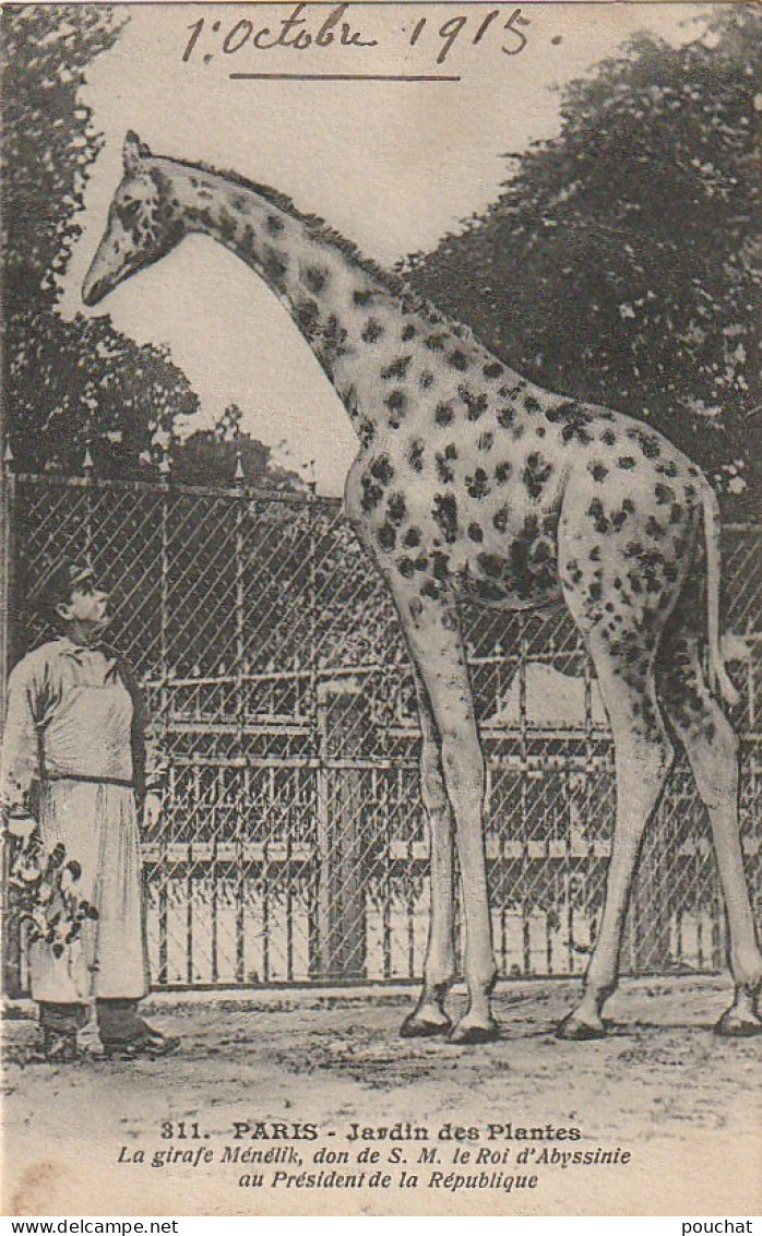 JA 4- (75) PARIS - JARDIN DES PLANTES - LA GIRAFE MENELIK , DON DU ROI D'ABYSSINIE - SOIGNEUR - 2 SCANS  - Parchi, Giardini