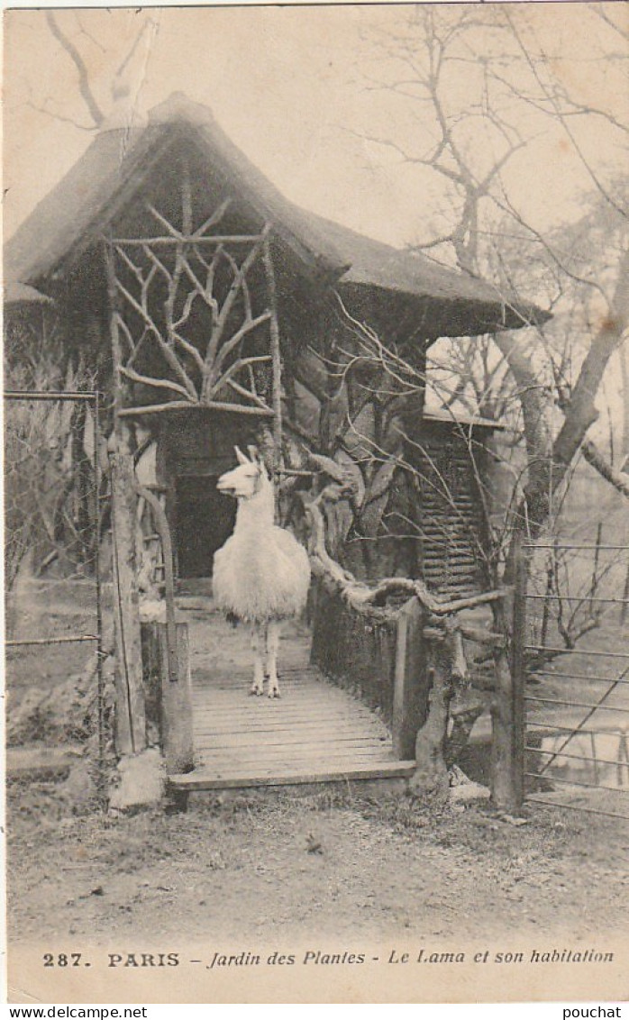 JA 4- (75) PARIS - JARDIN DES PLANTES - LE LAMA ET SON HABITATION - 2 SCANS  - Parken, Tuinen