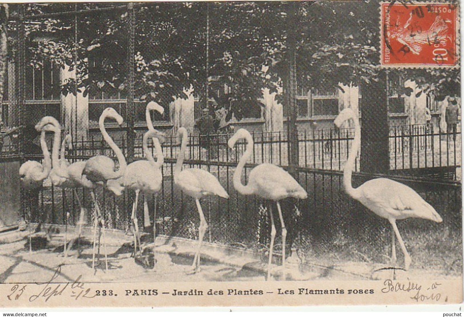 JA 4- (75) PARIS - JARDIN DES PLANTES -  LES FLAMANTS ROSES - ENCLOS - 2 SCANS  - Parks, Gärten