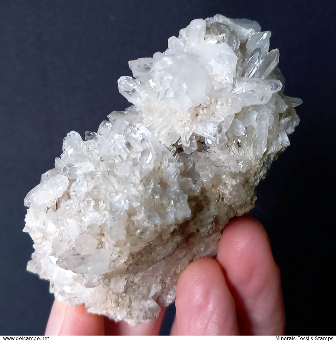 #U30 Schöne QUARZ XX (Castagnola, Val D'Aveto, Piacenza, Italien) - Minerals