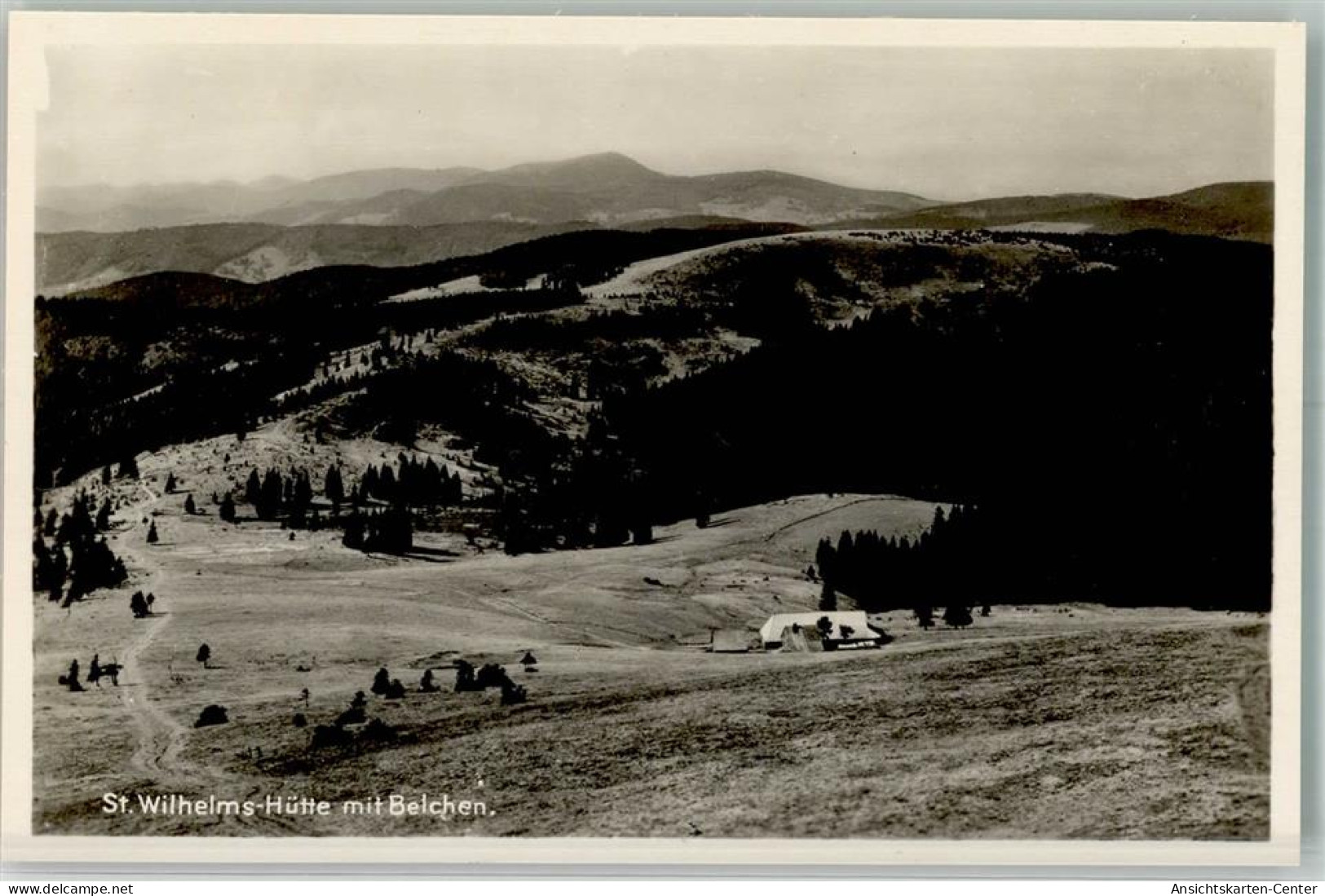 39725505 - Feldberg , Schwarzwald - Feldberg