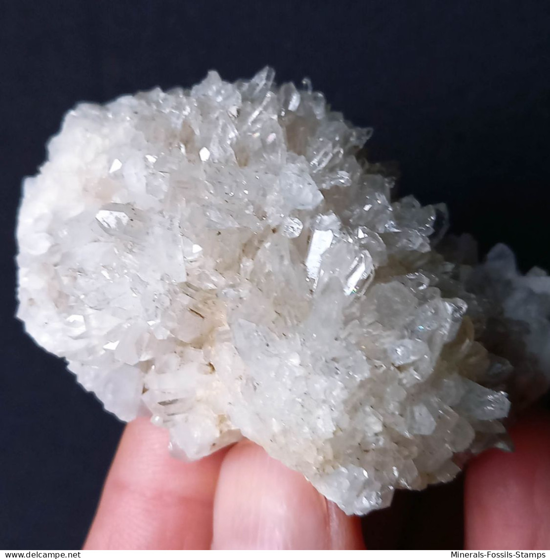 #U31 Schöne QUARZ XX (Castagnola, Val D'Aveto, Piacenza, Italien) - Minerales