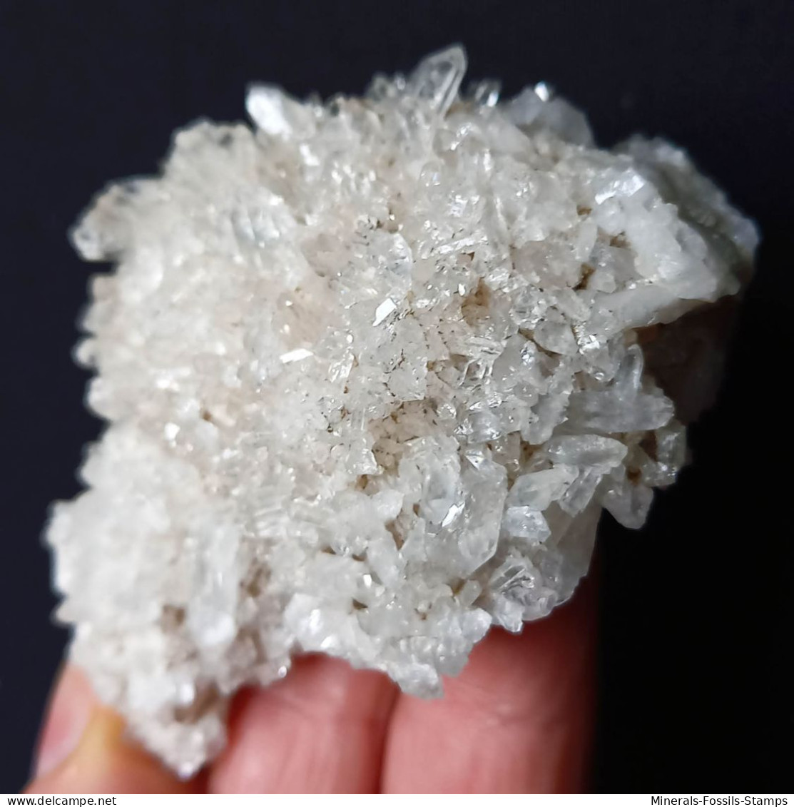 #U31 Schöne QUARZ XX (Castagnola, Val D'Aveto, Piacenza, Italien) - Mineralen