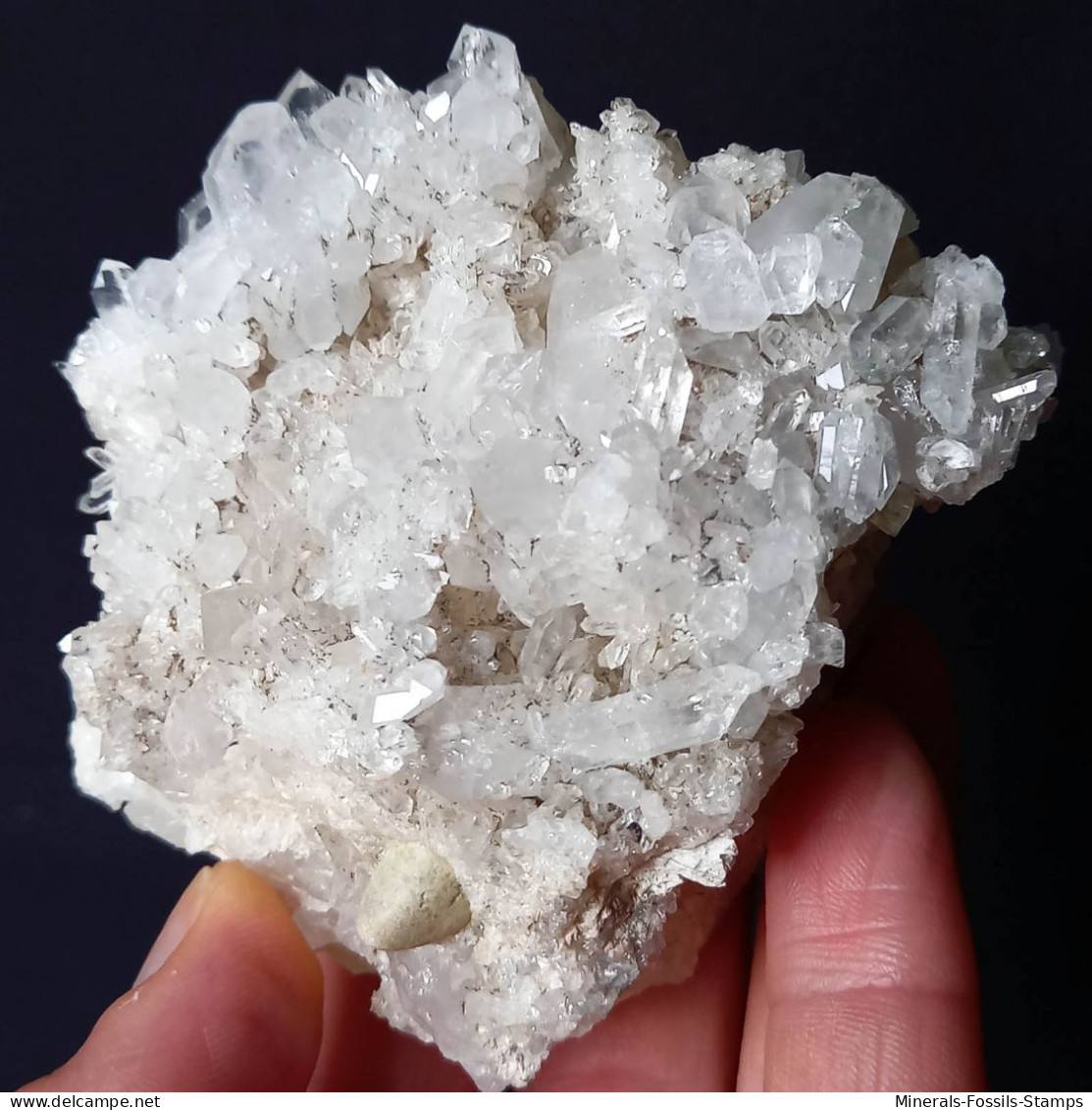 #U32 Schöne QUARZ XX (Castagnola, Val D'Aveto, Piacenza, Italien) - Mineralien