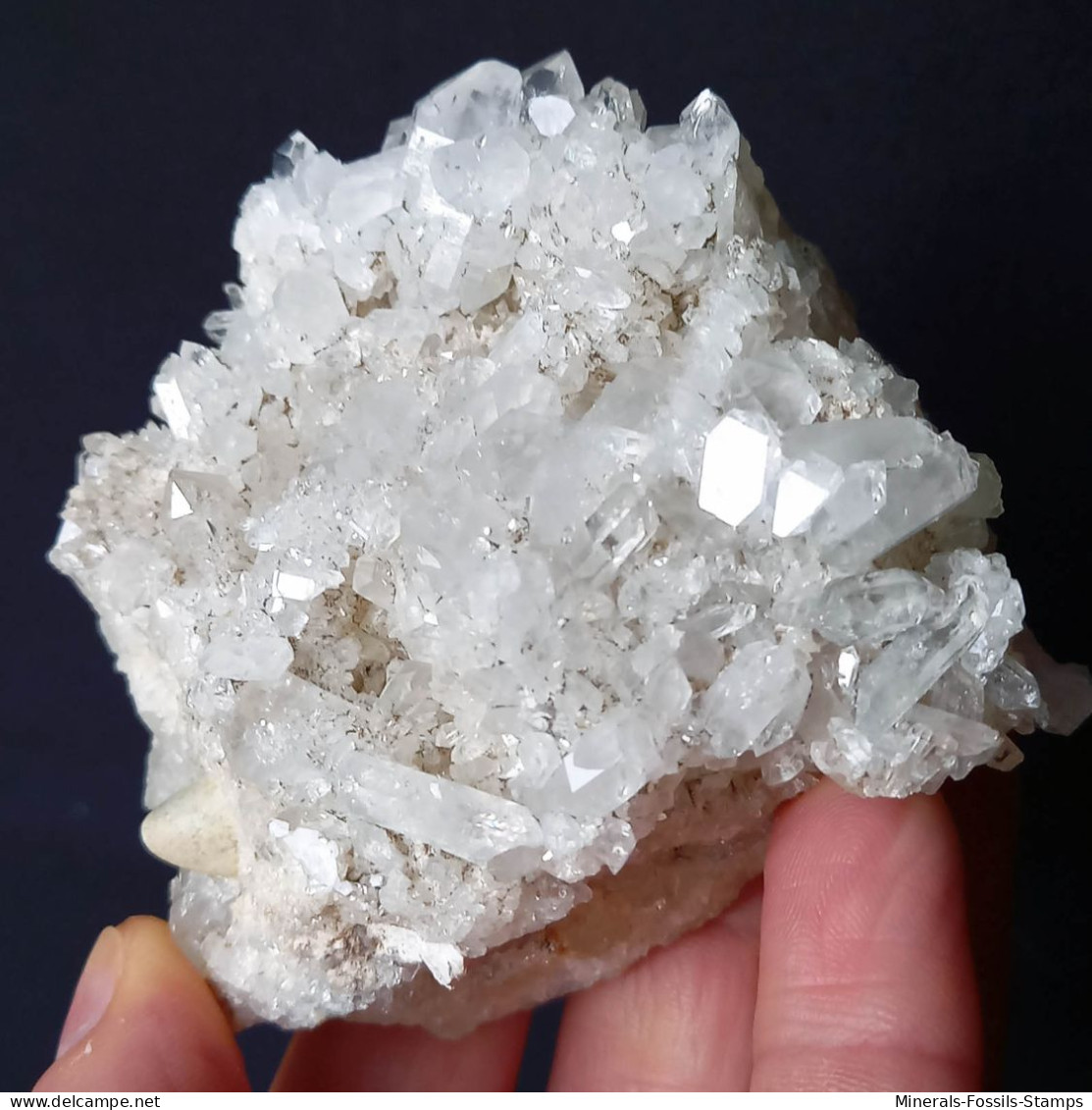 #U32 Schöne QUARZ XX (Castagnola, Val D'Aveto, Piacenza, Italien) - Minerales