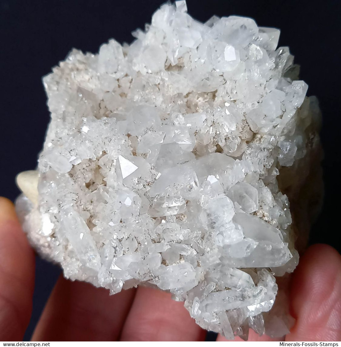 #U32 Schöne QUARZ XX (Castagnola, Val D'Aveto, Piacenza, Italien) - Mineralien