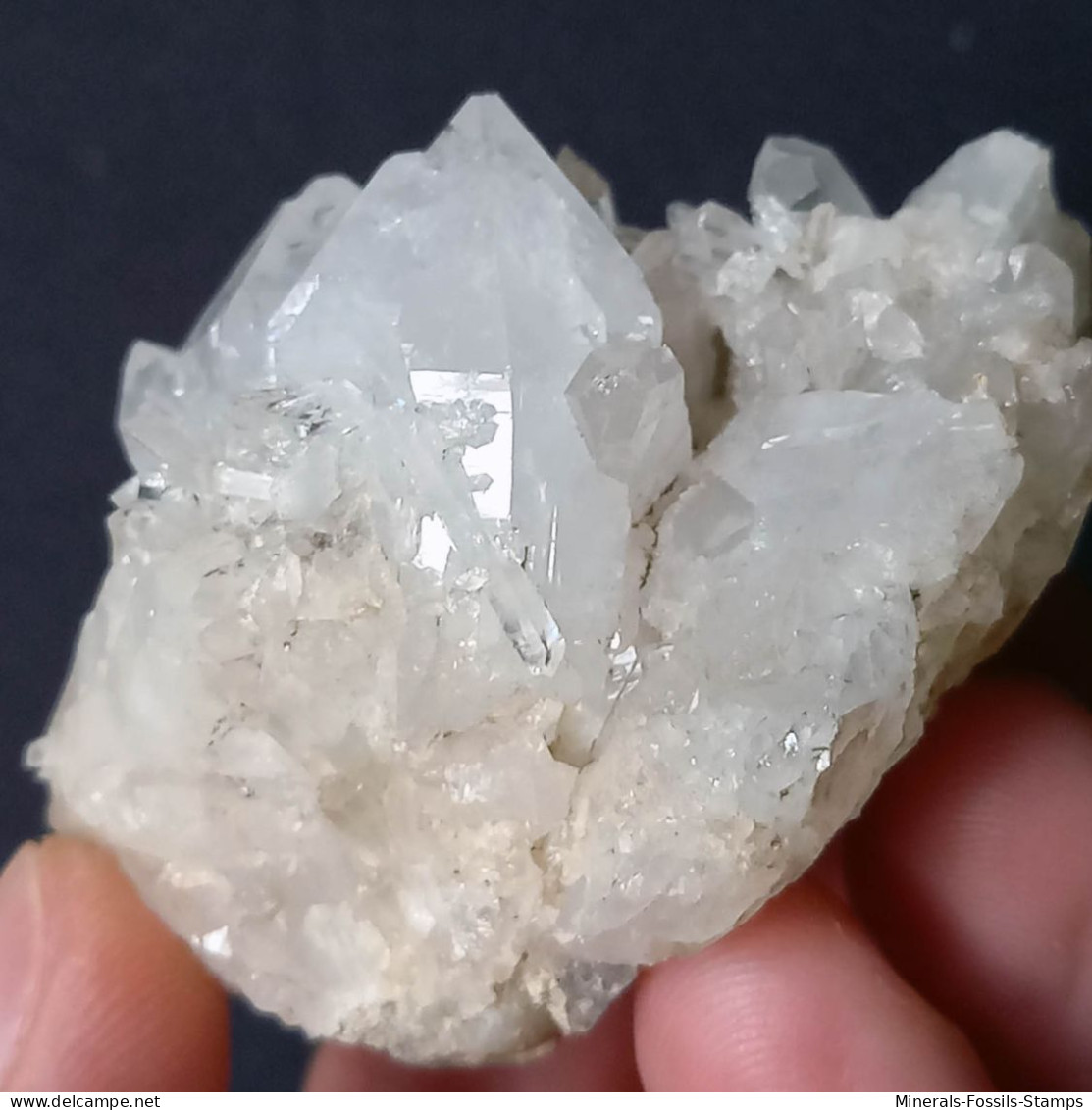 #U33 Schöne QUARZ XX (Castagnola, Val D'Aveto, Piacenza, Italien) - Mineralen