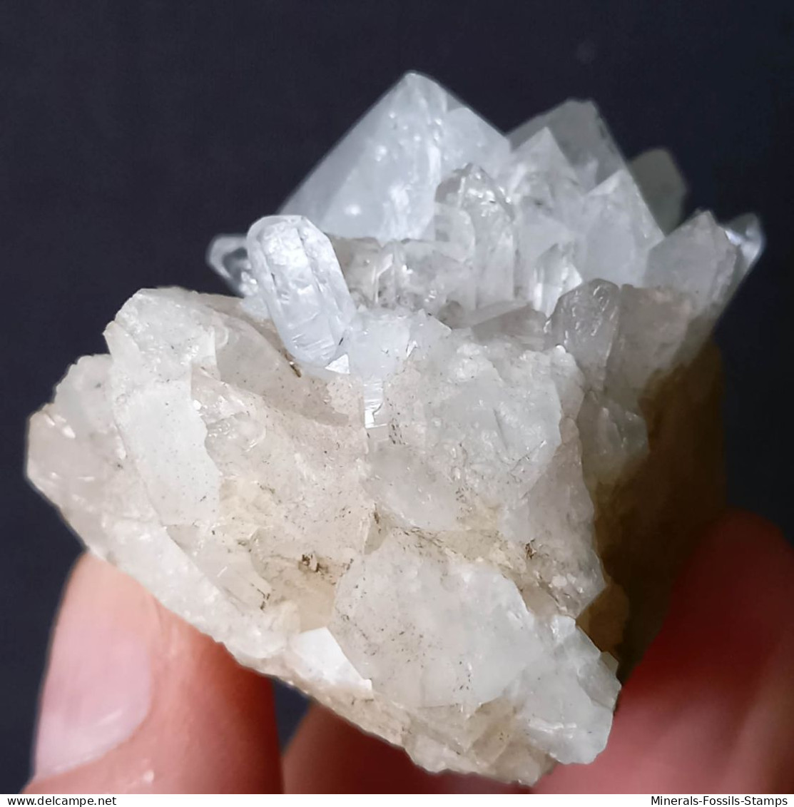 #U33 Schöne QUARZ XX (Castagnola, Val D'Aveto, Piacenza, Italien) - Mineralien