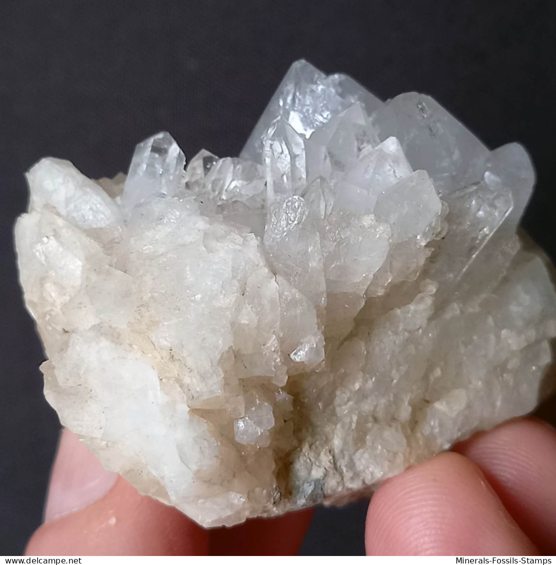 #U33 Schöne QUARZ XX (Castagnola, Val D'Aveto, Piacenza, Italien) - Minerales