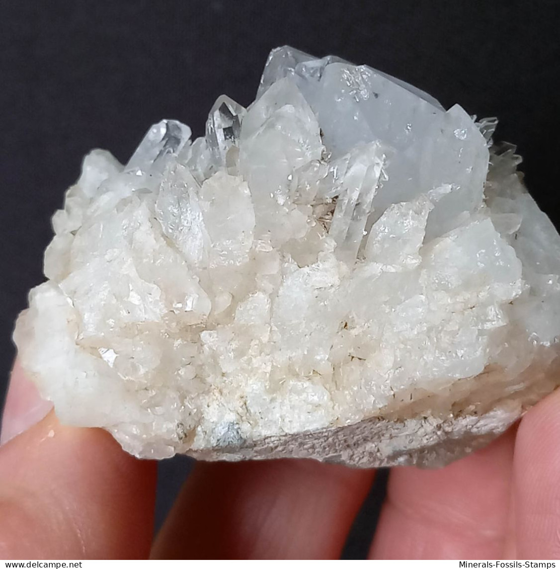 #U33 Schöne QUARZ XX (Castagnola, Val D'Aveto, Piacenza, Italien) - Mineralien