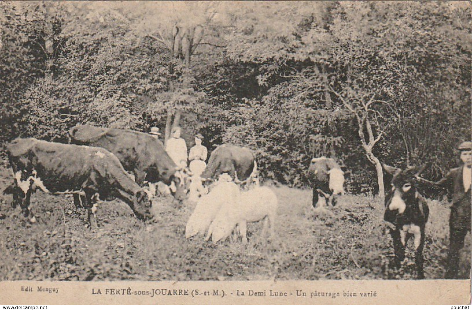 JA 14 -(77)  LA FERTE SOUS JOUARRE - LA DEMI LUNE - UN PATURAGE BIEN VARIE - PAYSAN AVEC ANE , PORCS , VACHES - 2 SCANS  - La Ferte Sous Jouarre