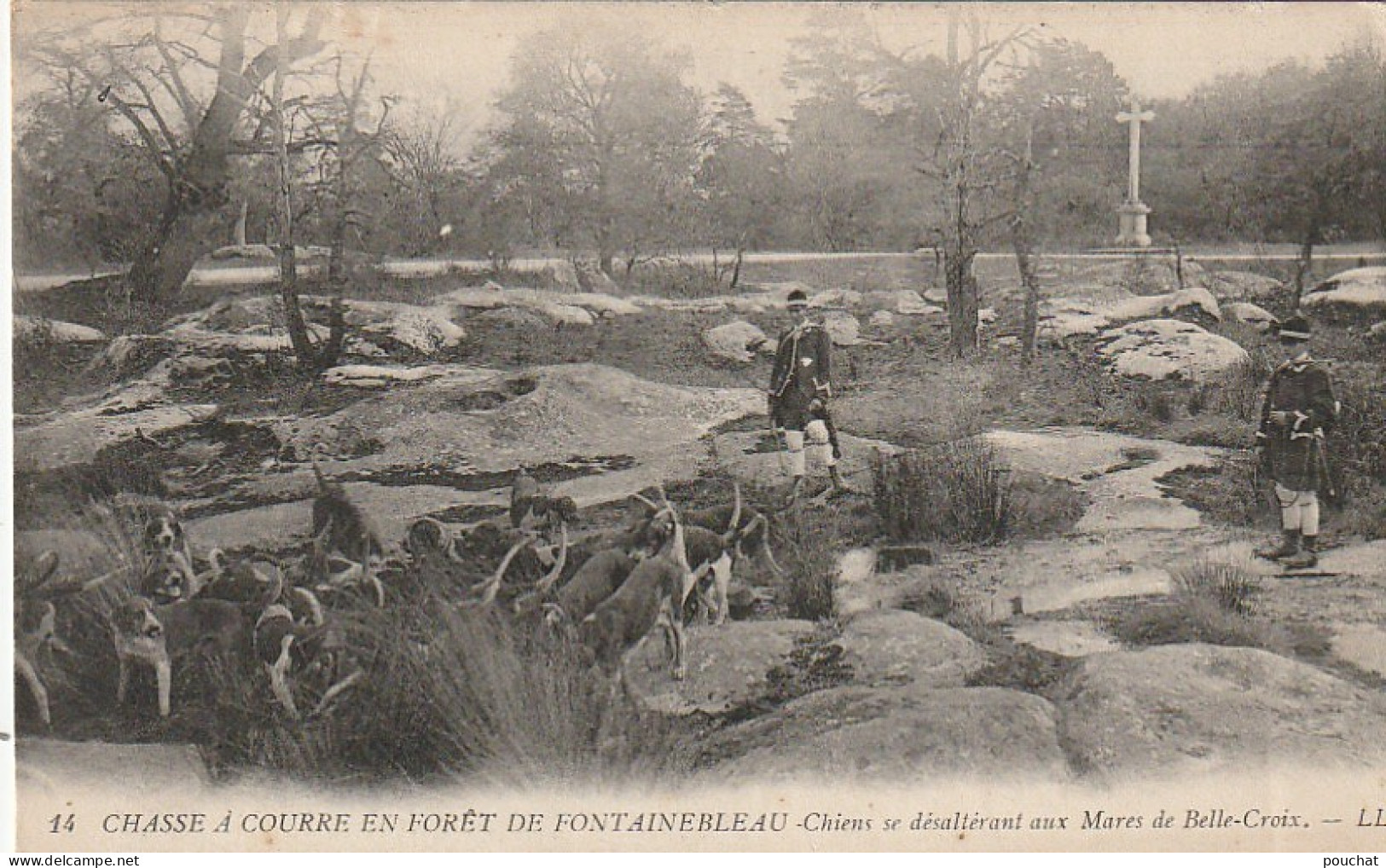 JA 15 -(77) CHASSE A COURRE EN FORET DE FONTAINEBLEAU - CHIENS SE DESALTERANT AUX MARES DE BELLE CROIX- 2 SCANS - Fontainebleau