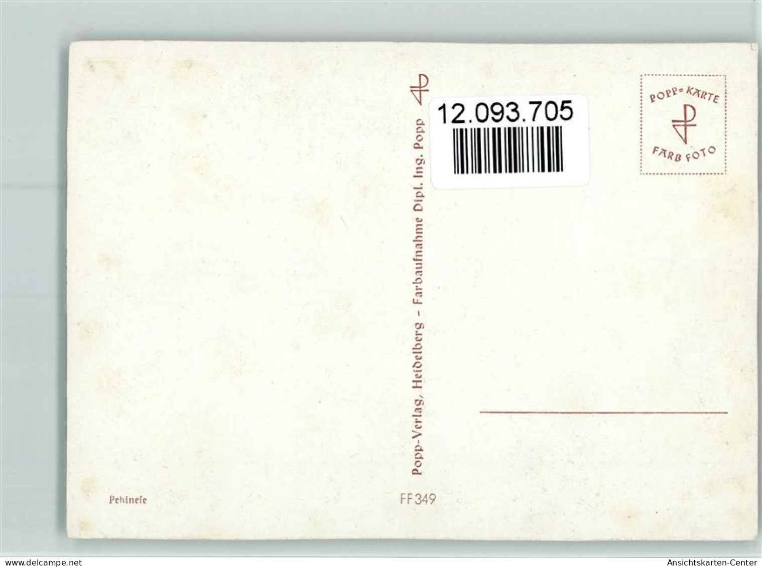 12093705 - Pekinese Popp Karte Nr. FF349 AK - Hunde