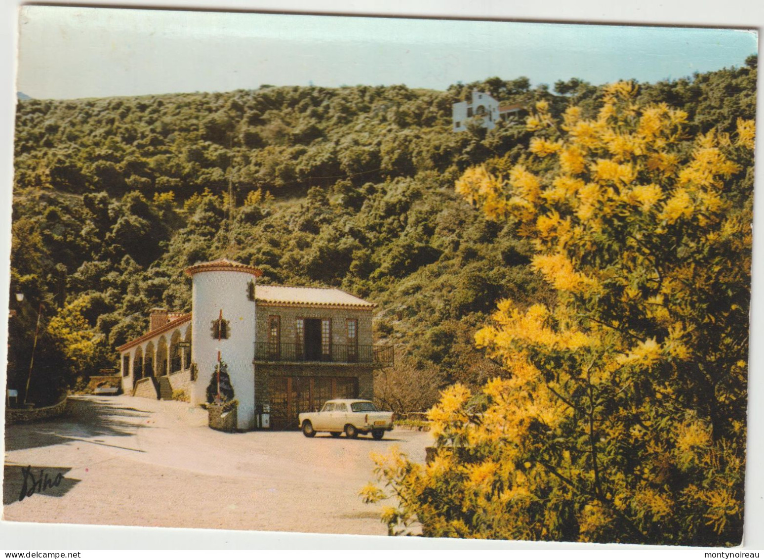 Pyrénées  Orientales   :  SOREDE : La  Reception , Voiture  Peugeot - Other & Unclassified