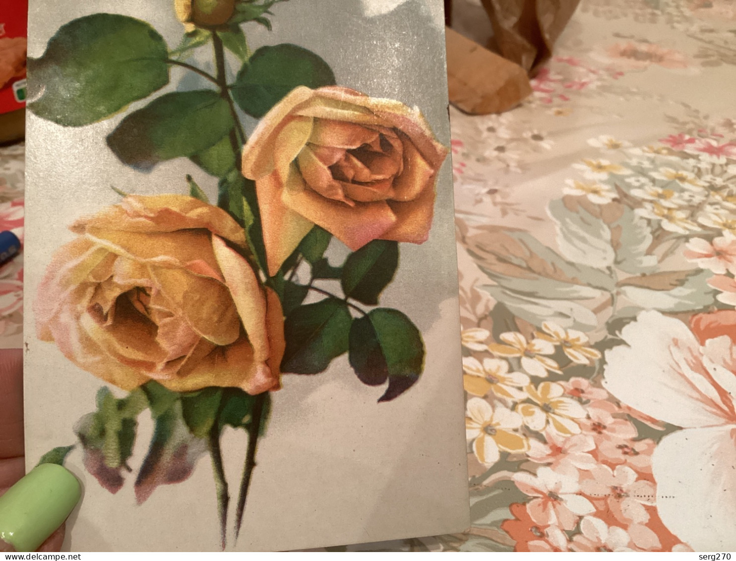 Rose Rosiers Jaunes - Blumen