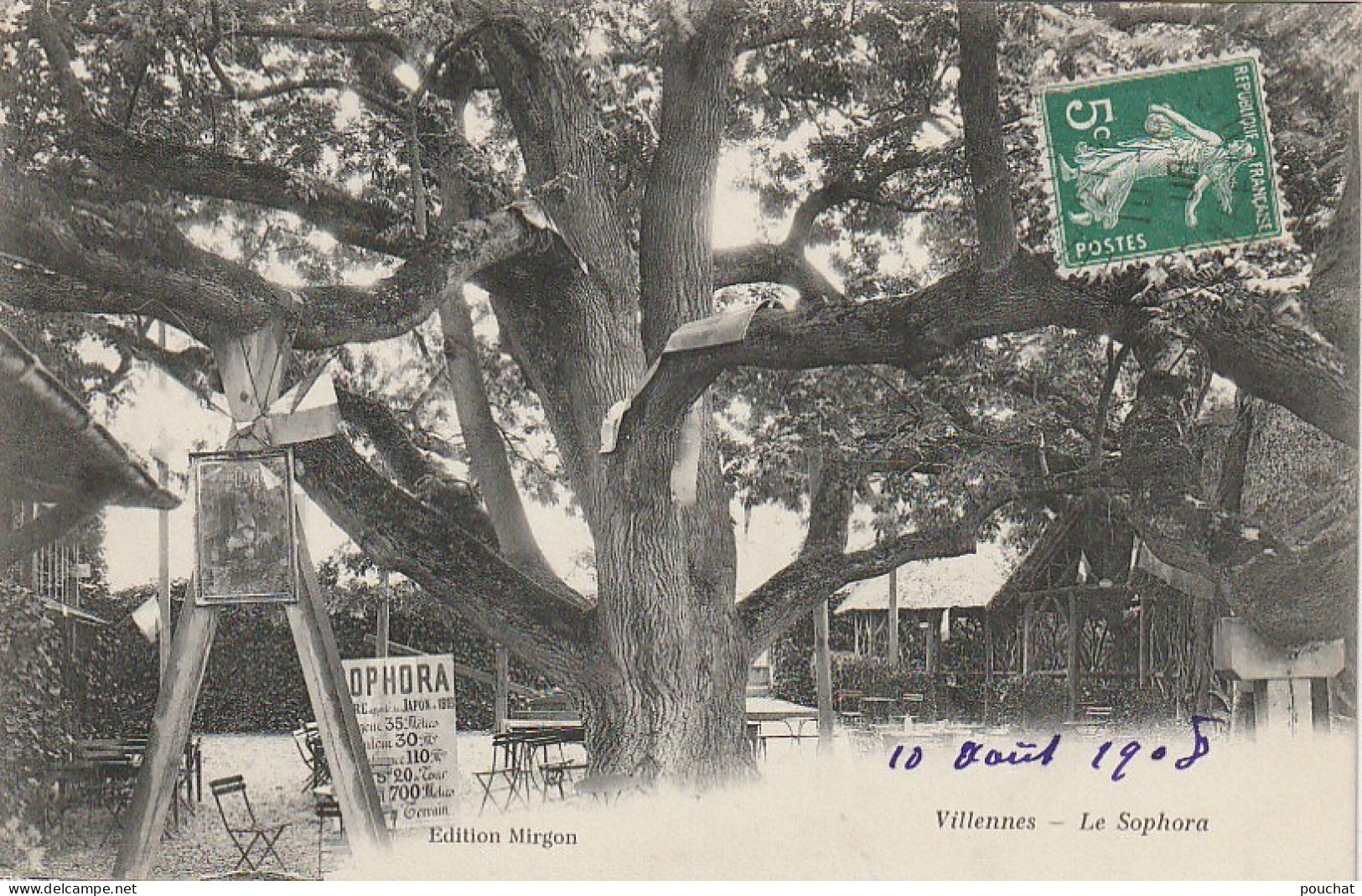 JA 21 -(78) VILLENNES - LE SOPHORA - ARBRE DU JAPON - 2 SCANS - Villennes-sur-Seine