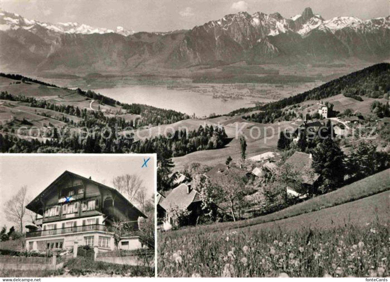 12633400 Goldiwil Pension Abendruh Thunersee Alpenpanorama Goldiwil - Other & Unclassified