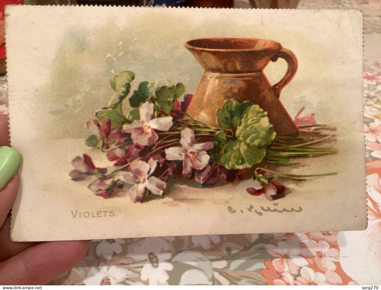 Nature Morte, Violette, Carte Signée Raphael Tuck & Sons "Time Of Flowers: - Fleurs