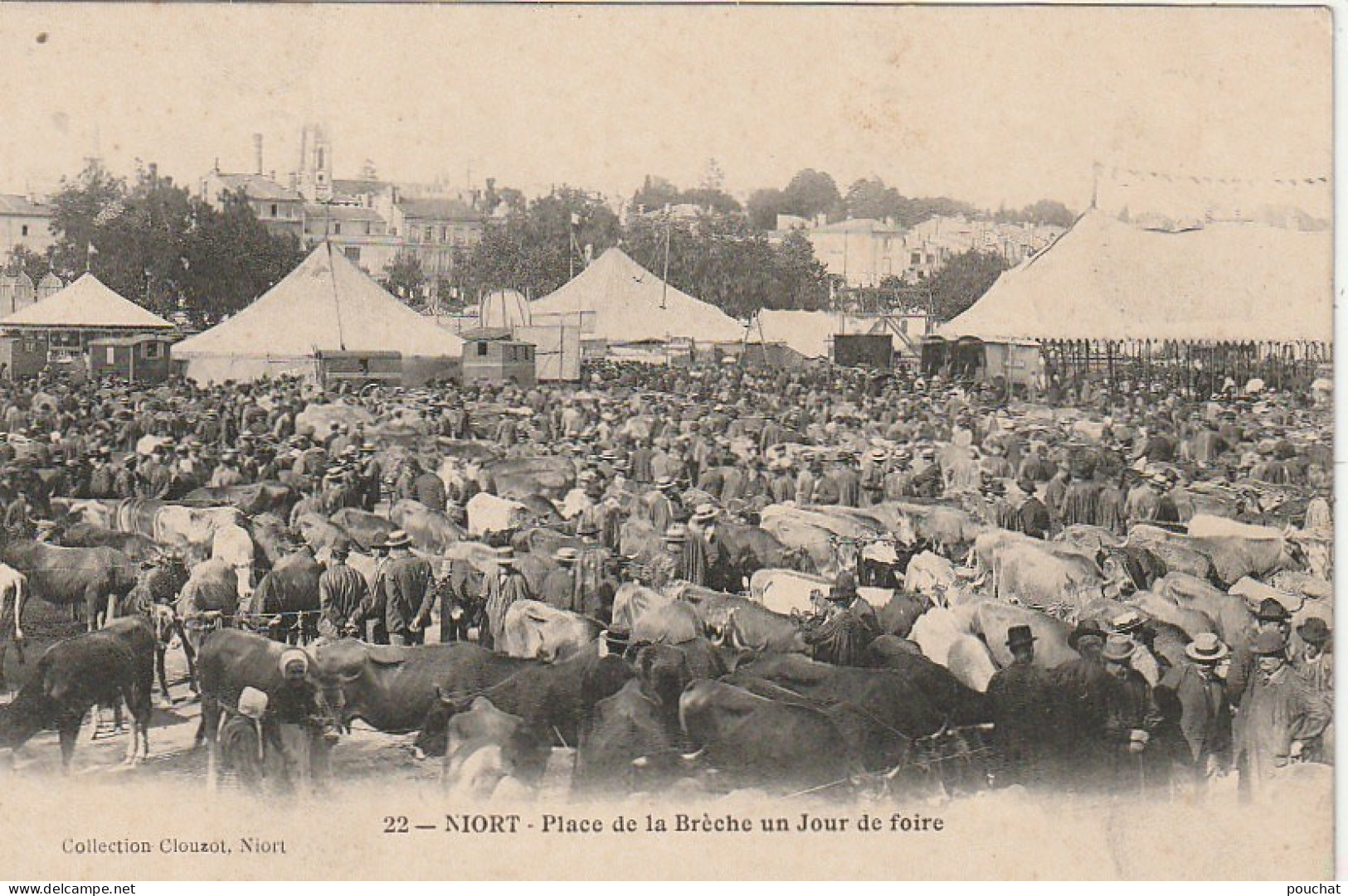 JA 23 -(79) NIORT -  PLACE DE LA BRECHE UN JOUR DE FOIRE - PAYSANS , ACHETEURS - BOVINS - 2 SCANS  - Niort