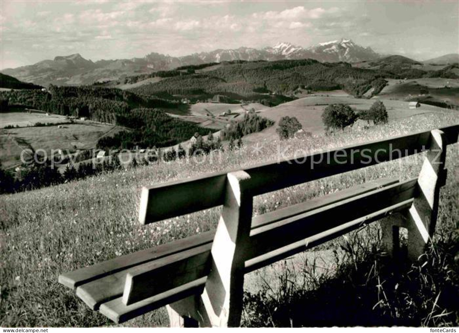 12632688 Wald AR Vorderland Blick Von Tanne Zur Saentiskette Appenzeller Alpen  - Altri & Non Classificati