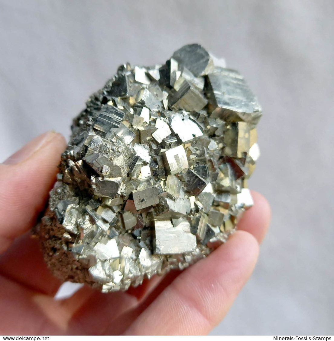 #05 - Schöne PYRIT Kristalle (Mine Niccioleta, Grosseto, Toskana, Italien) - Minerali
