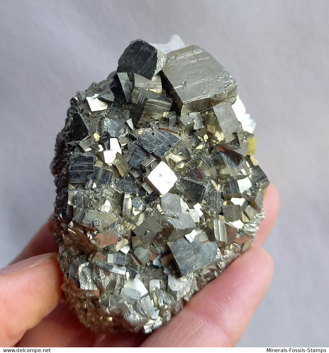 #05 - Schöne PYRIT Kristalle (Mine Niccioleta, Grosseto, Toskana, Italien) - Mineralien