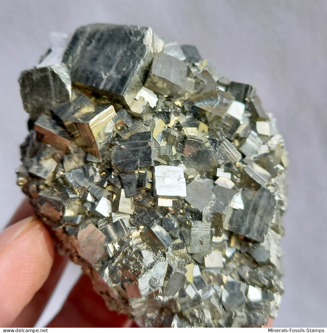#05 - Schöne PYRIT Kristalle (Mine Niccioleta, Grosseto, Toskana, Italien)