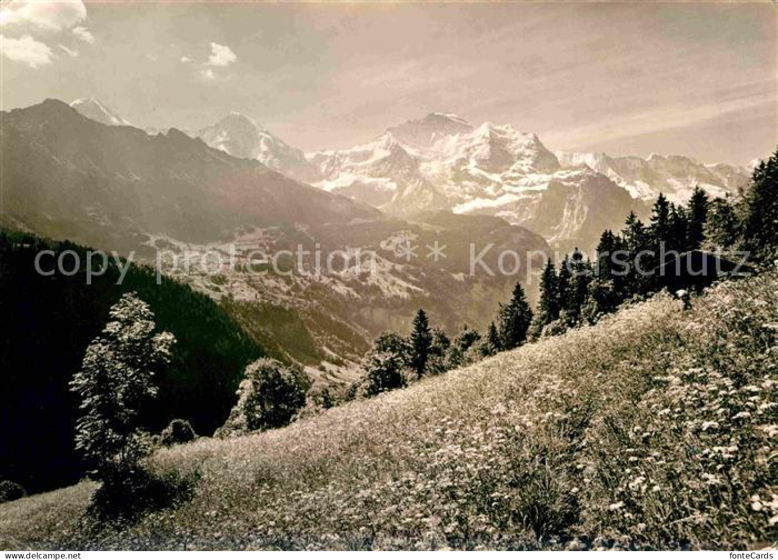 12632470 Isenfluh Chalet Jungfraublick Berner Alpen Isenfluh - Autres & Non Classés