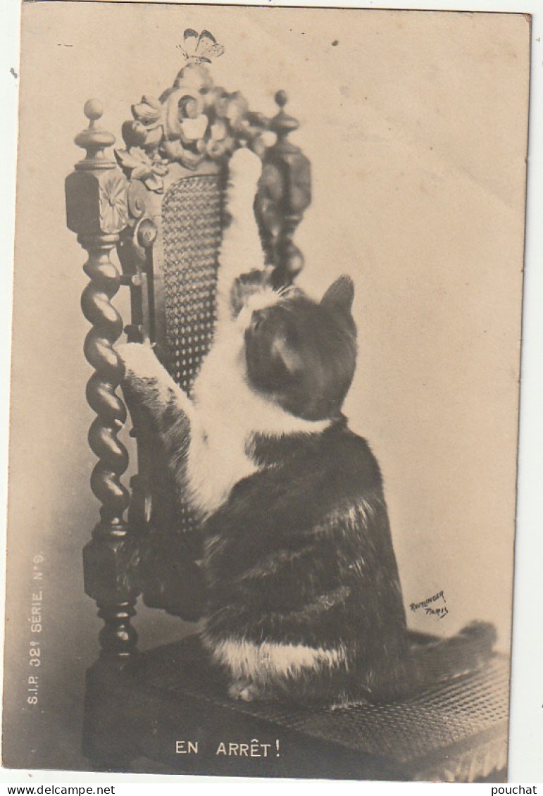 JA 26 - " EN ARRET " - CHAT A LA CHASSE AU PAPILLON SUR UNE CHAISE - PHOTOGRAPHIE REUTLINGER  - 2 SCANS - Katzen