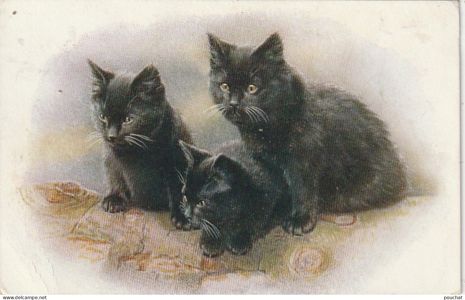 JA 26 -  TRIO DE CHATONS NOIRS SUR TRONC D' ARBRE - 2 SCANS - Cats