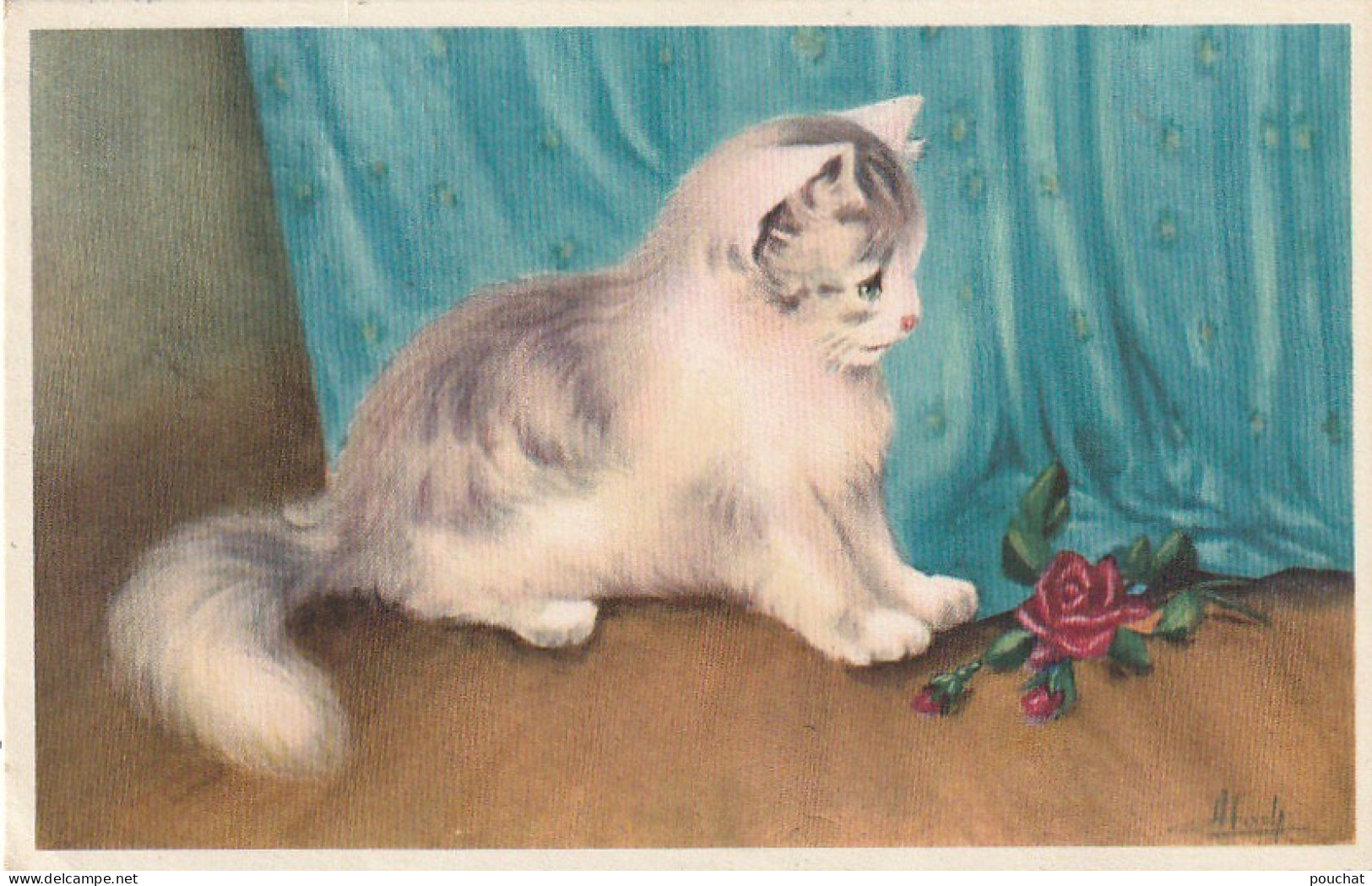 JA 27- CHATON DEVANT TENTURE BLEUE ET TIGE DE ROSES A SES PATTES - ILLUSTRATEUR  ATOCH - 2 SCANS - Gatos