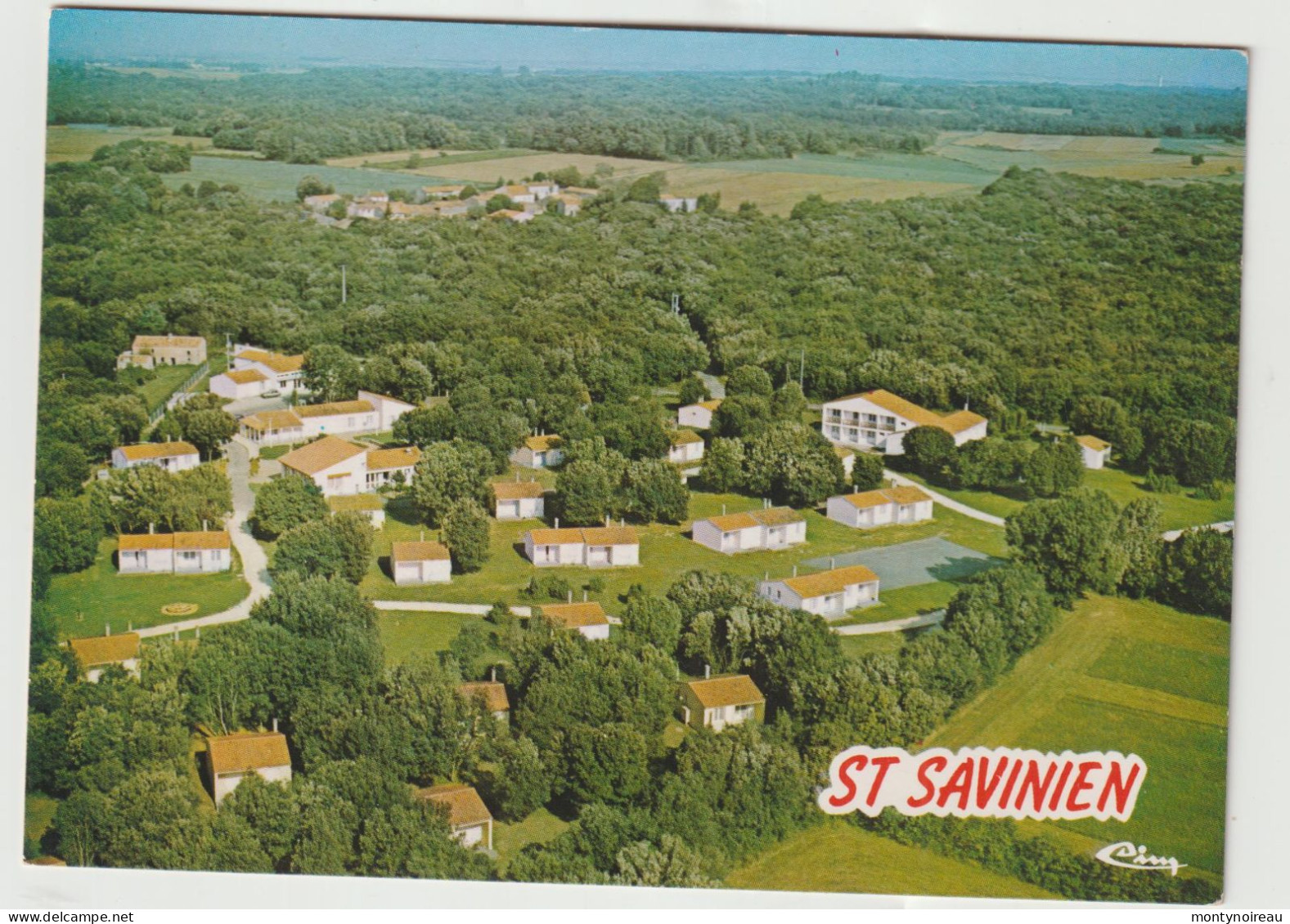 Charente Maritime : SAINT SAVINIEN : Vue  Aérienne  "  Chapin " - Autres & Non Classés